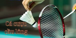 Cá Cược Cầu Lông